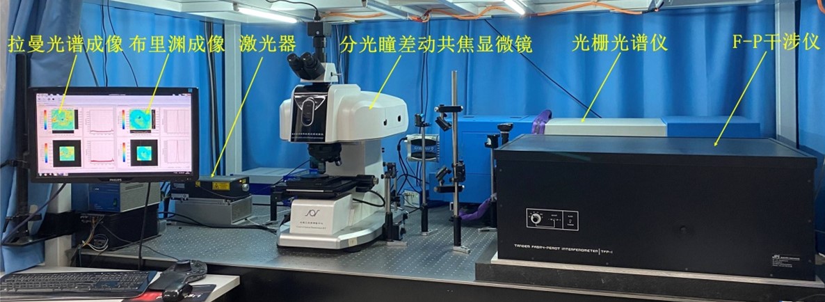 betway西汉姆联官网